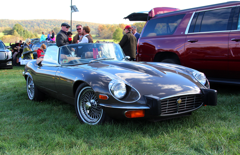 Illustration for article titled Car Spotting at the Virginia Gold Cup